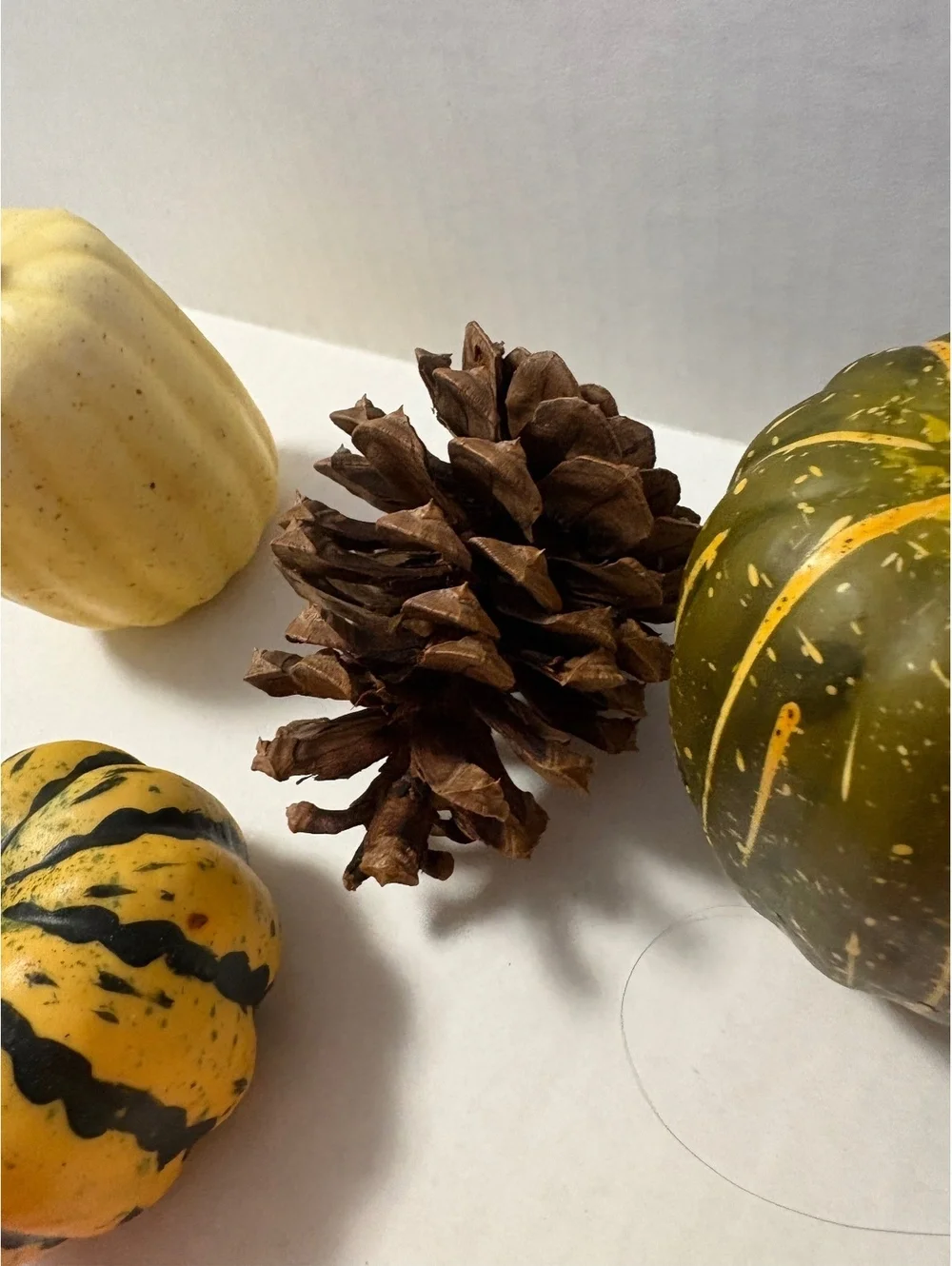 Variety of fall decor